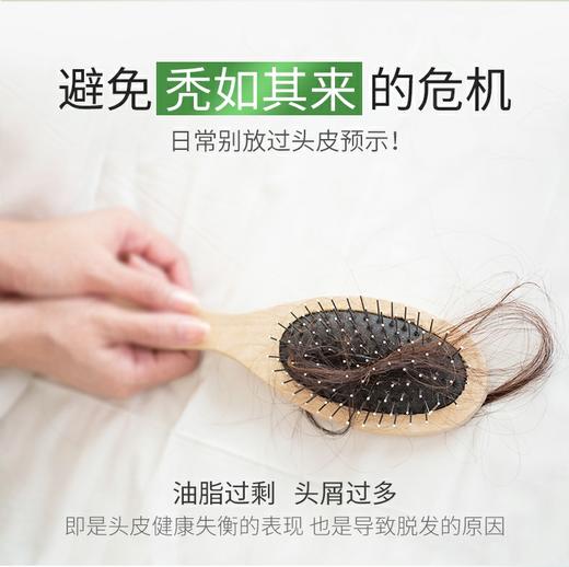 霸王防脱洗发液（控油去屑型）750ml 商品图4