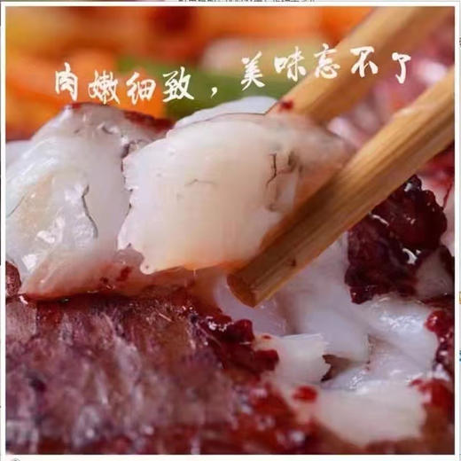 黄鱼鳖条 一条装350g外地泡沫箱 商品图11