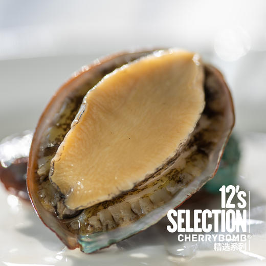 活冻青岛鲍鱼 8头/10头/12头 2斤装 顺丰快递 商品图6