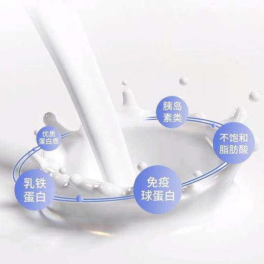 【新品】艾小驼透明质酸钠益生菌调制驼乳粉300g 原汁原味 营养均衡 商品图1