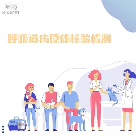 动物呼吸道感染六联病原体核酸检测服务 商品图1