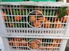 精品砂糖橘一筐 商品缩略图0