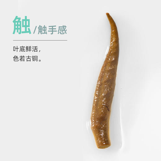 卢正浩特级金骏眉红茶茶叶纸包150克（原关雎） 商品图2