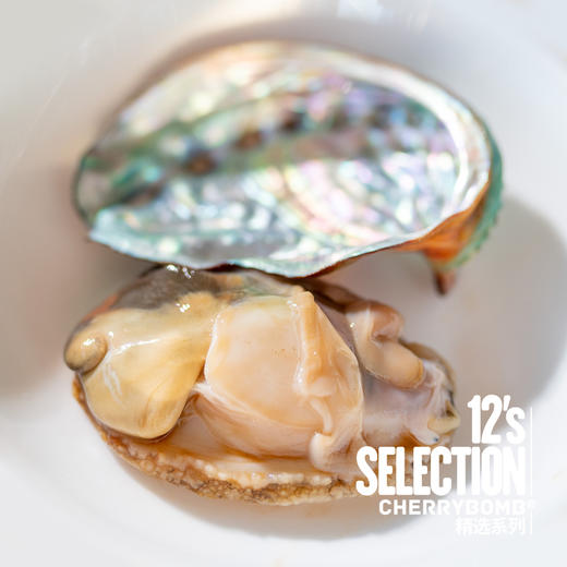 活冻青岛鲍鱼 8头/10头/12头 2斤装 顺丰快递 商品图12