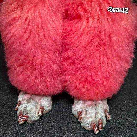 半持久宠物染色剂-草莓红Strawberry Red OPAWZ小爪印 商品图7