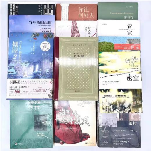 【新年礼物】主内文学系列小说15本 商品图1