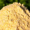 生态玉米面 | 适合煮粥 面食甜品 | 石嫣农场 * Ecological Cornmeal 商品缩略图0