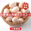 临泉农户散养初生土鸡蛋小鸡蛋初产蛋新鲜适合老人孩子 商品缩略图3