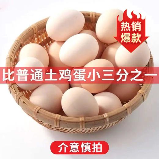 临泉农户散养初生土鸡蛋小鸡蛋初产蛋新鲜适合老人孩子 商品图3