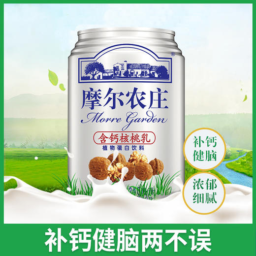 摩尔农庄牌含钙核桃乳240ml/罐 商品图0