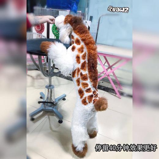 宠物持久染色剂：红棕色Vital Copper OPAWZ小爪印 商品图12