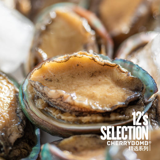 活冻青岛鲍鱼 8头/10头/12头 2斤装 顺丰快递 商品图1