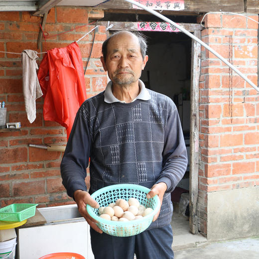 临泉农家散养土鸡蛋柴鸡蛋新鲜现捡鸡蛋 商品图1
