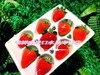 🛵【纯甜】喵菓美莓香野凤梨草莓（快递3盒起发） 商品缩略图3