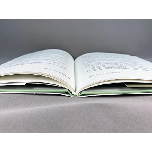 卡尔维诺经典：分成两半的子爵 商品图4