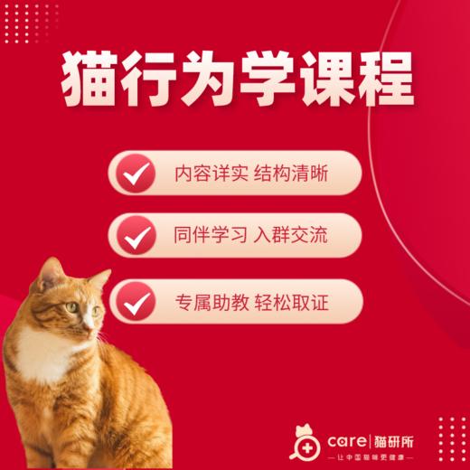 猫行为学初级课程 商品图0