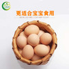 临泉农户散养初生土鸡蛋小鸡蛋初产蛋新鲜适合老人孩子 商品缩略图0