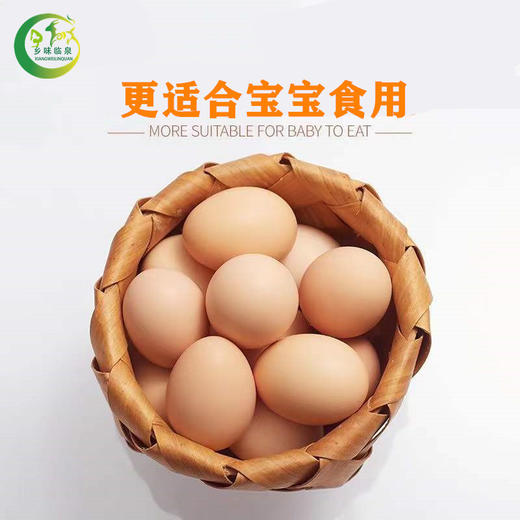 临泉农户散养初生土鸡蛋小鸡蛋初产蛋新鲜适合老人孩子 商品图0