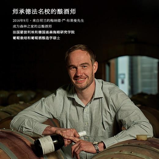 【连续3年入选全球50大知名酒庄】卡萨伯斯克精选赤霞珠红葡萄酒 智利兰佩谷 14%vol 商品图4