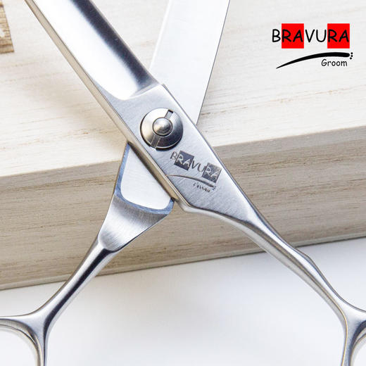 直剪 DFAE-700意大利BRAVURAGROOM宠物美容D系列 商品图2