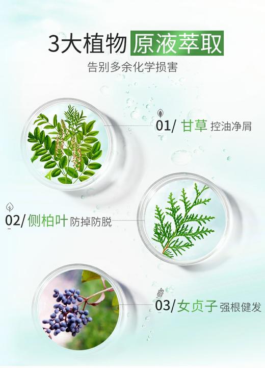 霸王防脱洗发液（控油去屑型）750ml 商品图2