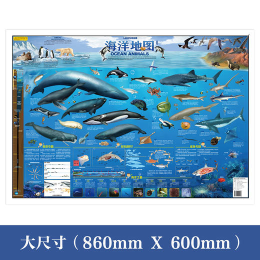 《藏在地图里的百科-恐龙海洋》 商品图4