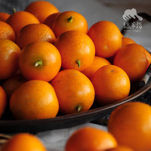 生态金桔（申通快递） | 合作生产*Eco-Kimquat | Partner Production 商品图2