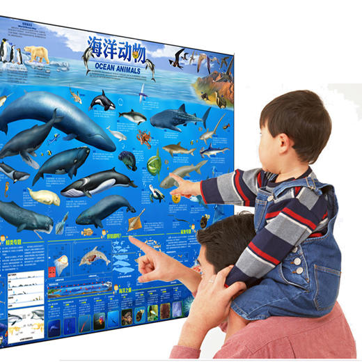 《藏在地图里的百科-恐龙海洋》 商品图2