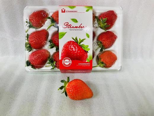 草莓（礼盒） 商品图1