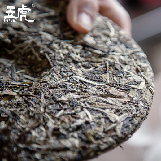 茶叶 福鼎白茶 白牡丹 陈香老白茶  茶饮  五虎  300g/饼 商品图2