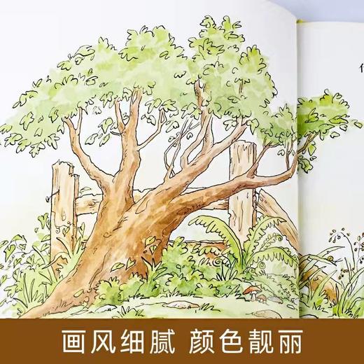 猜猜我有多爱你（0-3-6岁硬皮精装绘本 儿童宝宝情商启蒙书） 商品图3