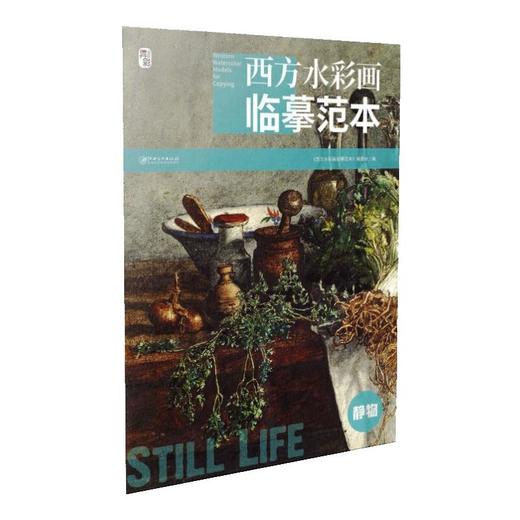 西方水彩画临摹范本 静物 商品图0