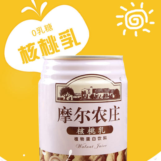 摩尔农庄牌核桃乳240ml*12罐/箱 商品图1