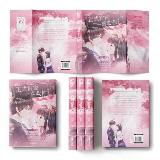 正式官宣喜欢你 商品图1