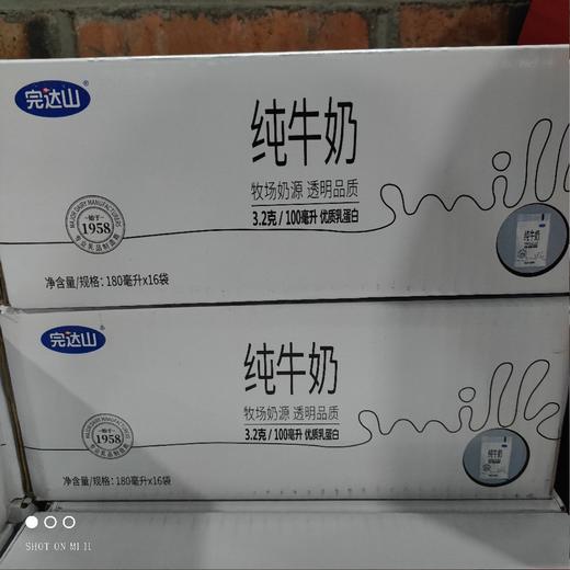 完达山 纯牛奶 180ml*16 商品图0