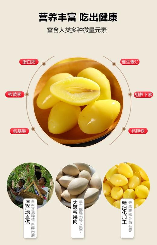 保鲜白果肉250克/包 商品图1