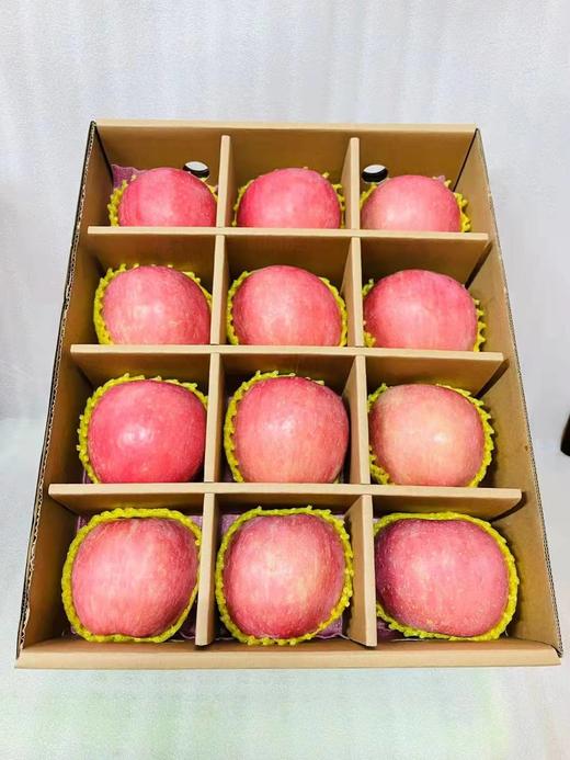 经典苹果12头礼盒 商品图2