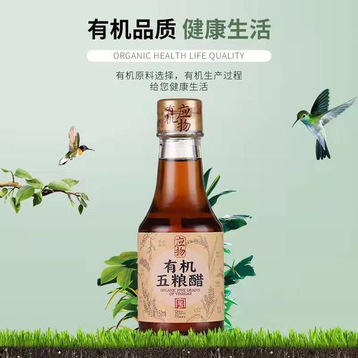 有机五粮醋150ml+有机酱油150ml 凉拌醋清香醋酱油 商品图1
