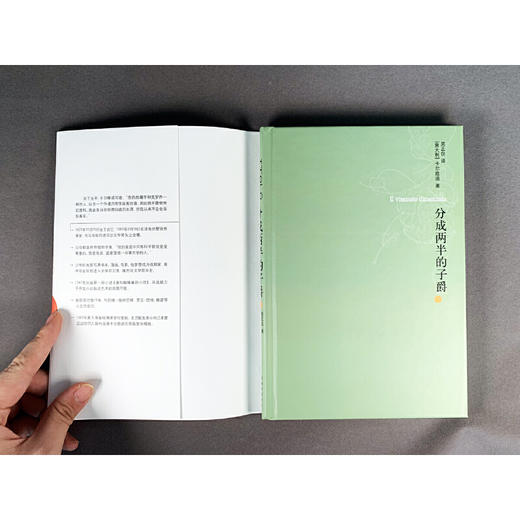 卡尔维诺经典：分成两半的子爵 商品图2