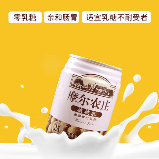 摩尔农庄牌核桃乳240ml*12罐/箱 商品图0