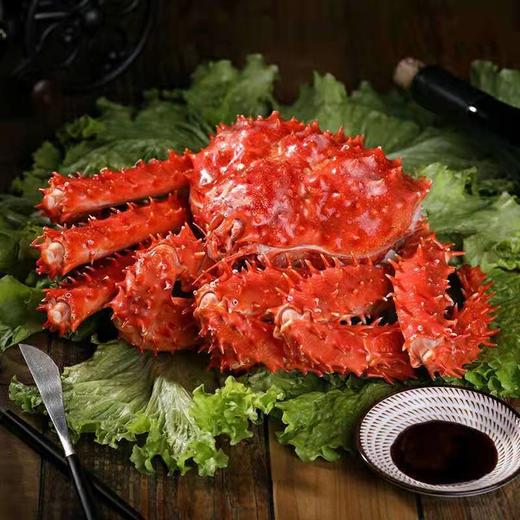 帝王蟹  螃蟹  一只5斤左右需补差价（送货路上不保活） 商品图3