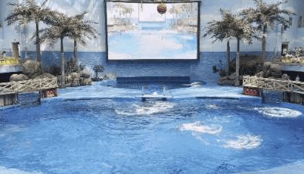 元旦特惠🔥【成都极地海洋公园】99元起，畅玩海洋公园！和白鲸、海豚、企鹅等一起过假期，邂逅9W+极地海洋动物、畅玩海底世界！ 商品图1