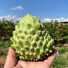 攀枝花【凤梨释迦果】纯甜清香，细腻软糯，冰淇淋口感，堪称“水果王后”！【京东/顺丰发货】 商品缩略图5