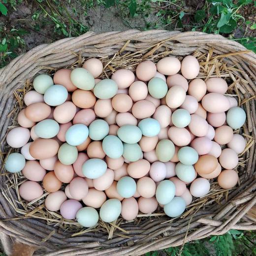 临泉农户散养初生土鸡蛋小鸡蛋初产蛋新鲜适合老人孩子 商品图7