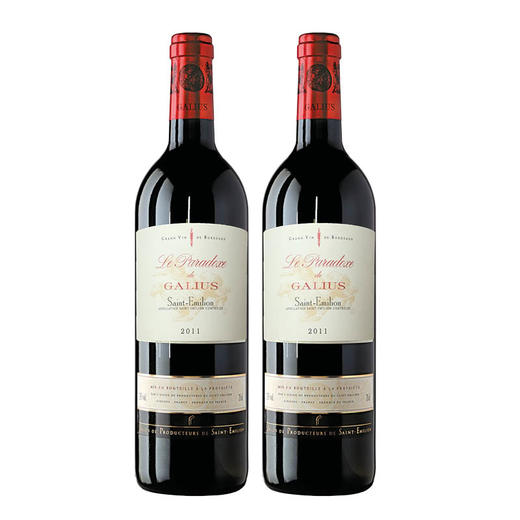 【双瓶优惠】嘉吕士王悖论红葡萄酒 Le Paradoxe de Galius 2*750ml 商品图0