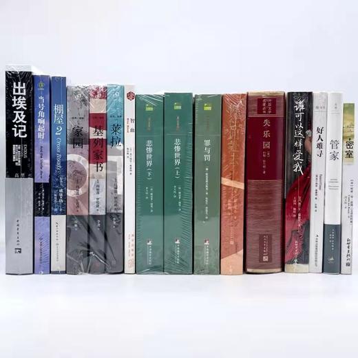 【新年礼物】主内文学系列小说15本 商品图0