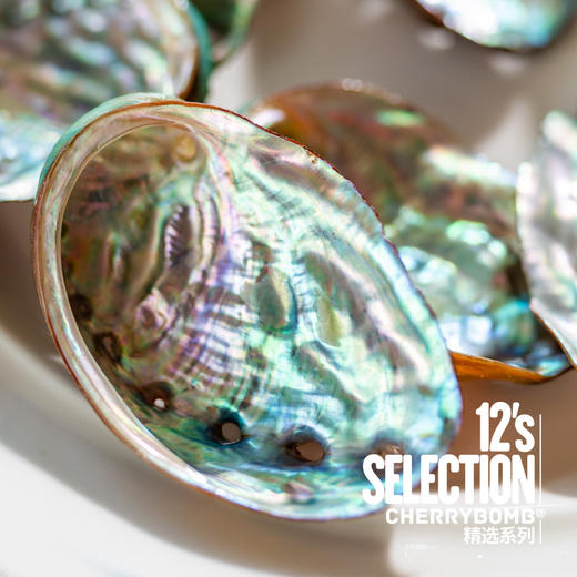 活冻青岛鲍鱼 8头/10头/12头 2斤装 顺丰快递 商品图9