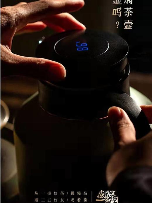 米索焖茶壶316不锈钢茶仓大容量 商品图6