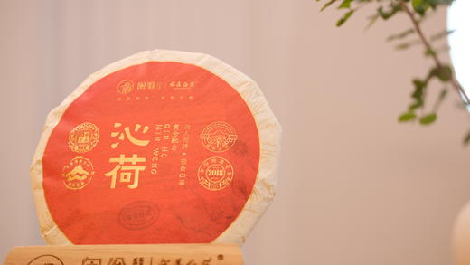 白茶 闽翁 2018年沁荷(礼盒装）300g 商品图0