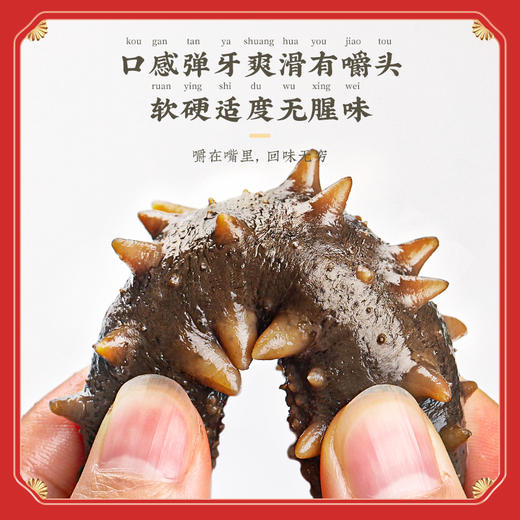 福东海 福礼礼盒 干海参120g 商品图2